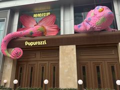 -帕帕拉兹宠物(亚洲旗舰店)