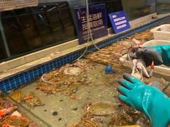 -一方渔歌蒸汽海鲜自助(文化路万达广场店)