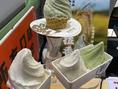 -野人先生现做冰淇淋(西安赛格店)
