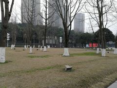 -重庆市江北嘴中央商务区中央公园