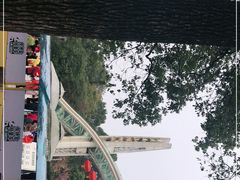 -南山植物园