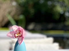 -九里云松·天香餐厅
