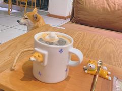 -柴务处·柴犬主题狗咖