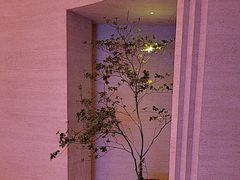 -舒小悦·舒养SPA·古法推拿(光环中心店)