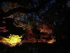-申粤轩酒楼·三十年粤菜经典(丁香花园店)