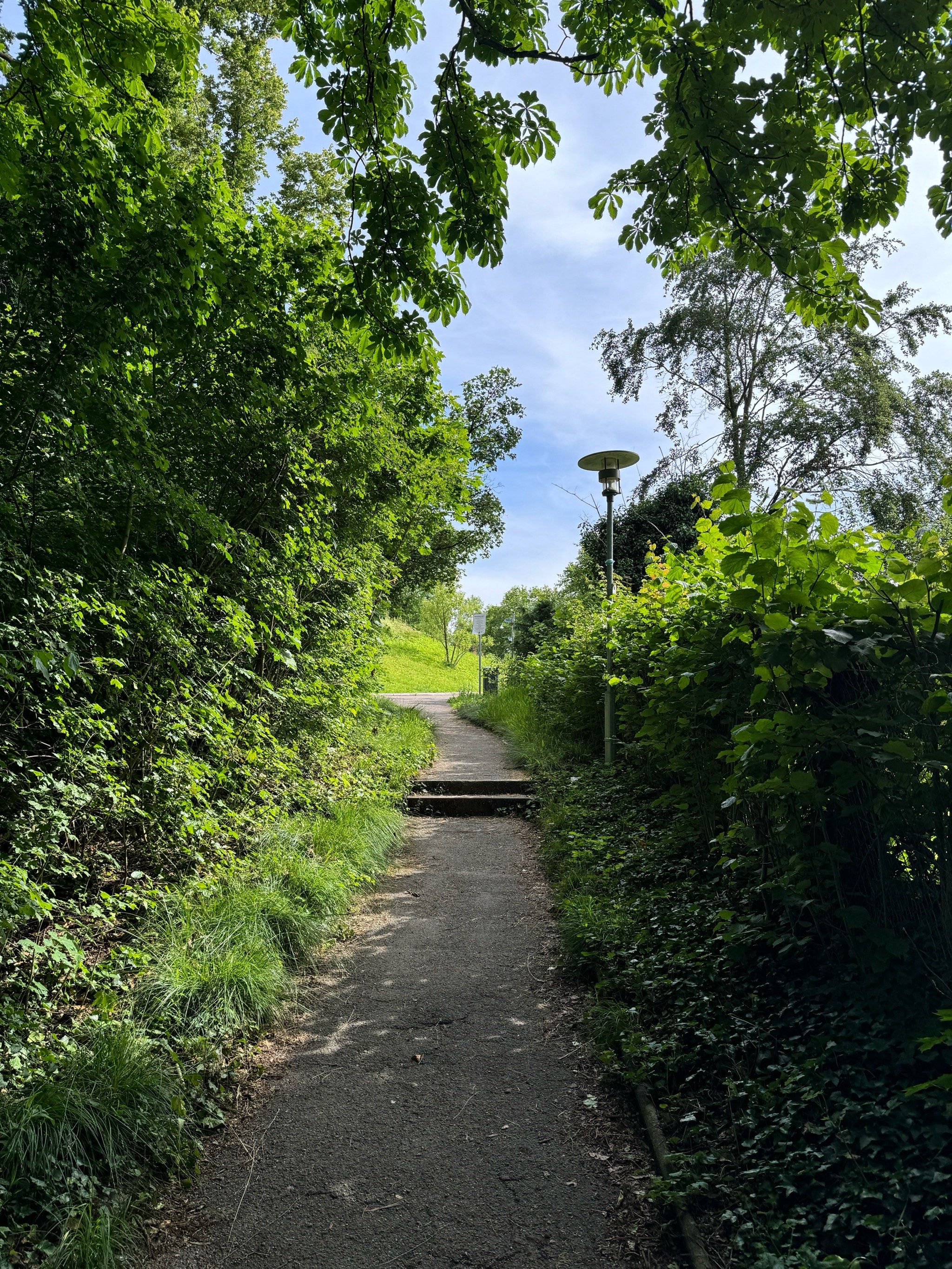 曲径通幽的山间路