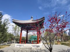 -西海子公园