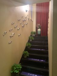 点击看大图 -唯伊美塑身美养连锁