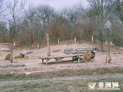 -北京野生动物园