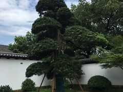 -知味观(湖滨总店)