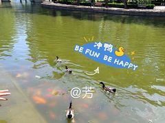 -团结湖公园