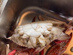 -四海蒸鲜蒸汽海鲜自助(北戴河店)