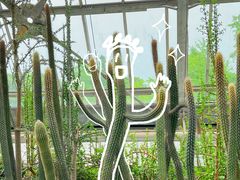 -南山植物园