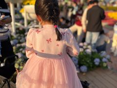 -东南花都花博园