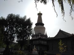 -张掖大佛寺景区