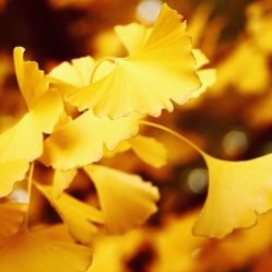 -Oasis Beauty水磨坊科技美肤中心