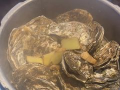 -千岛蚝高压锅生蚝·人参火锅(白云万达店)