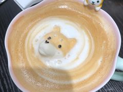 -逗柴咖啡屋·狗咖猫咖宠物桌游