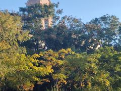 -新江湾城公园