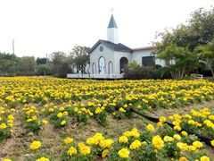 -广东花都香草世界旅游度假区