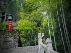 -韬光茶庵