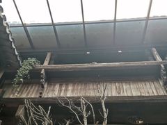 -普洱茶府(博乐广场店)