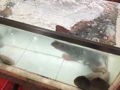-金源餐馆