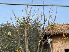 -杭州野生动物世界