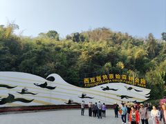 -西双版纳原始森林公园