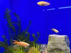 -上海海洋水族馆