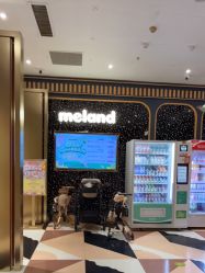 -meland亲子乐园•派对•研学(宁波华润万象城店)