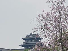 -海珠湖公园