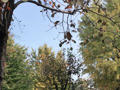 -北京石刻艺术博物馆(五塔寺)