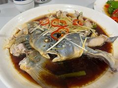 -煲来饱去冷水鱼