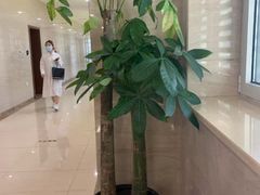 -中国医科大学附属第一医院(浑南院区)