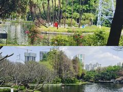 -晓港公园