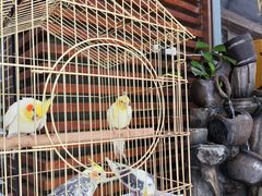 -小城外婆肴私房菜.家宴聚集点(圆明园颐和园·清河上地店)