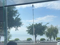 -野菌皇海景野生菌火锅(滨海大道店)