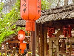-青城甲(青城山店)