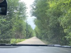 -林间山庄
