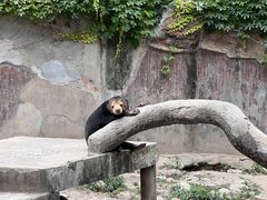 -上海动物园(地铁站)