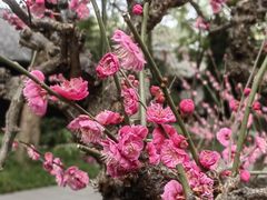 -成都杜甫草堂博物馆