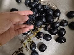 -AEON永旺(东方宝泰店)