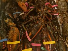 -雍和会海鲜姿造自助(湖东路店)