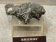 -甘肃地质博物馆