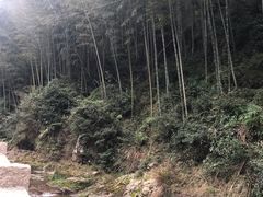 -林坑古村落