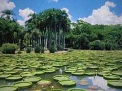 -中国科学院西双版纳热带植物园