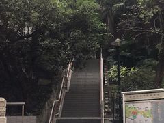 -香港大学