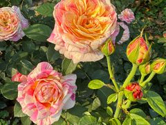 -人民公园(罗湖区)