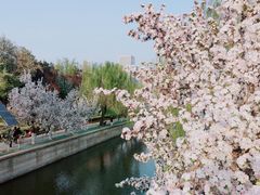 -海棠花溪(元大都城垣遗址公园)